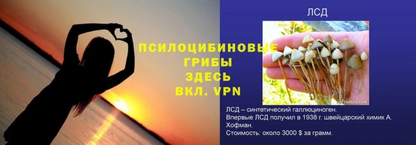 стаф Богородицк